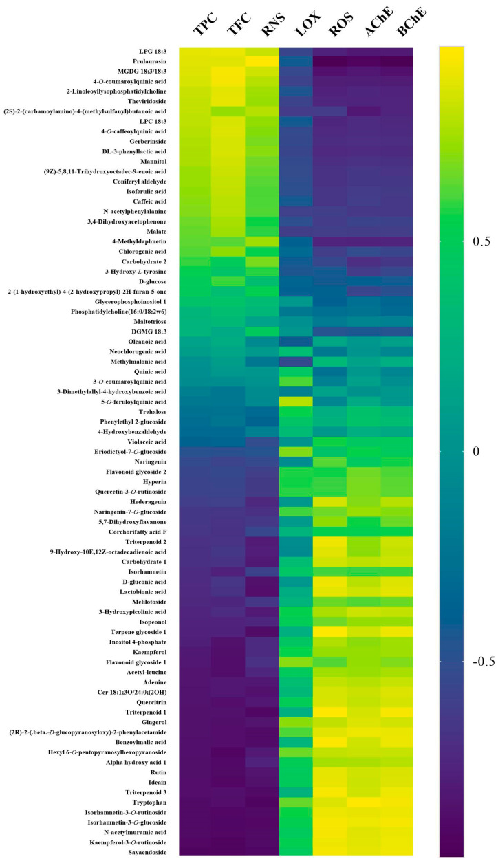 The yellow grids in the HeatMap indicate that TakkonTBI ℞++ metabolites are positively correlated to the neurogenesis potential, while the blue grids indicate positive correlations for LOX, ROS, AChE, and BchE. Image